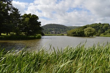 Obraz premium Margam Park
