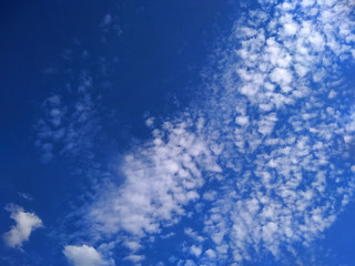 white clouds in the bright blue sky