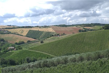 Fototapeta premium center of Italy,hill,vineyard,field,panorama,countryside,landscape,cloud