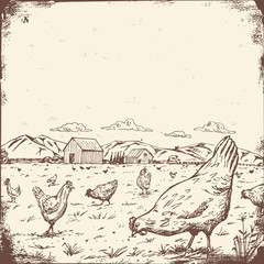 Hand drawn a flock of chicken in meadow sign, Vector