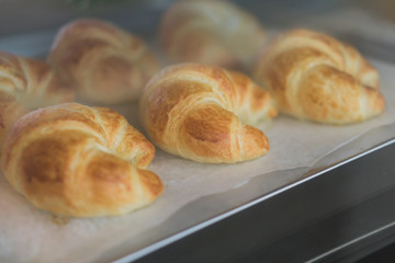 Closeup croissant homemade bakery in the oven with warm light, selective and soft focus
