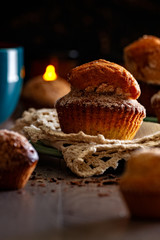 Closeup Magdalena on antique cloth with dim side light and chocolate shavings with dark background and reduced depth of field. Front view.