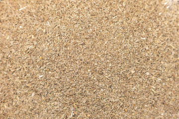 Organic Dried coriander seeds (Coriandrum sativum) closeup background texture.