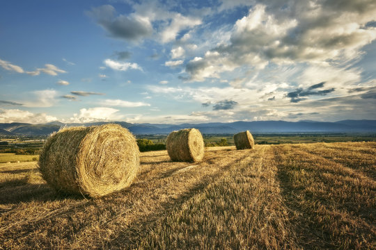 rotoballe di foraggio nelle colline abruzzesi