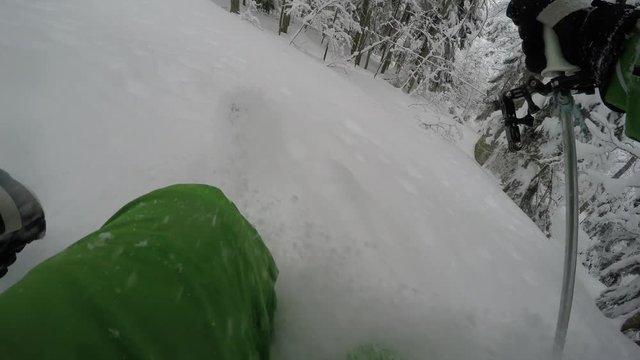  gopro chest mount skier  extreme in forest  skiing on fresh powder snow at winter