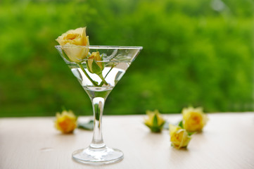 yellow rose in a wine glass on a natural background of foliage