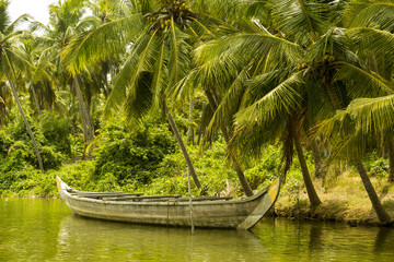 Fototapeta na wymiar Kerala backwaters, India