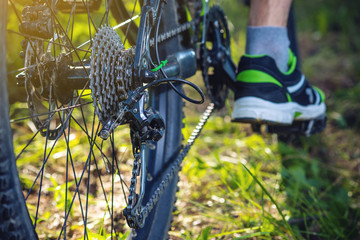Cyclist on a green mountain bike in the woods riding on the grass. Bottom and back view. Concept of active lifestyle