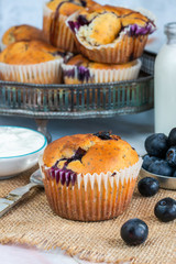 Homemade blueberry and lemon muffins