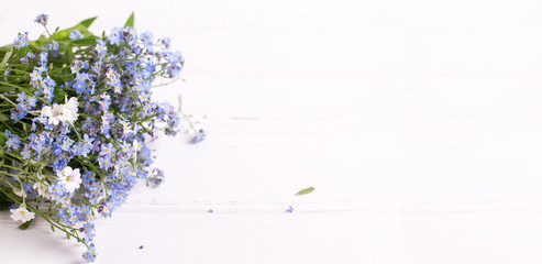 Blue forget-me-nots or myosotis flowers on  white wooden background.