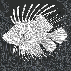 Lion-fish in black and white line art style