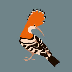 hoopoe bird vector illustration flat style profile
