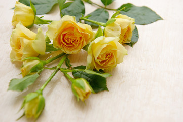 several yellow roses on a wooden background