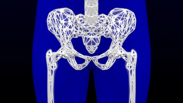 Healthy bone and osteoporosis bone. Loopable. Two luma matte (Skeleton and Body). 3D rendering.