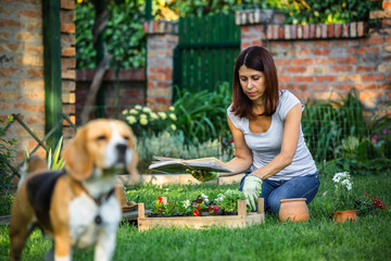 Perfect afternoon for spend time in garden
