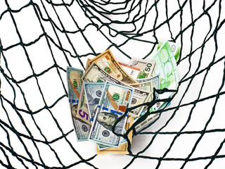 Catch money on the netting. Business. Financial concept