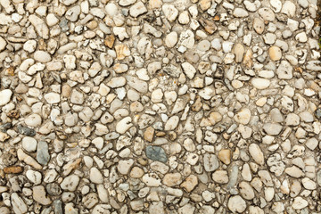 Pebble stone floor tile seamless background. Cement mixed gravel pebble stone floor texture. Wet round pebble stone rock floor in dramatic lighting.
