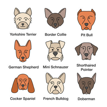 Dogs breeds color icons set