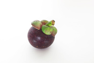 isolate mangosteen on white background, the tropical purple fruit in Thailand.