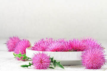Milk thistle