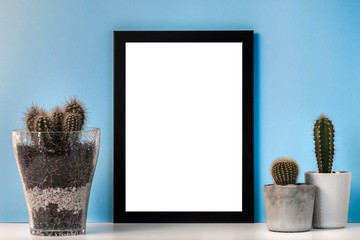 Black empty mockup frame on a blue background with three pots of cactuses