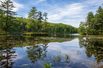 Trees and sky reflected in Breakneck Pond
