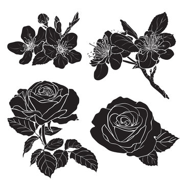 Set of two rose and two cherry silhouettes