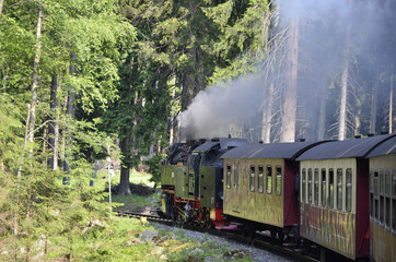 Dampfzug zum Brocken im Harz