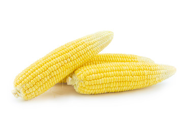 Pile of fresh corn isolated on white background