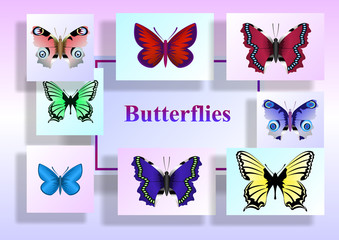 butterflies on colored paper sheets, beautiful colorful background.