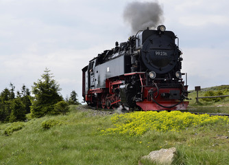 Fototapeta na wymiar Dampfzug zum Brocken im Harz