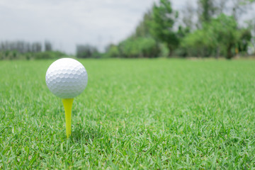 Golf ball and club on green grass .Sport Healthy concept.