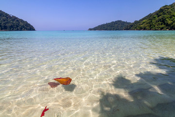 Obraz premium Surin Islands is in Mu Koh Surin Nation park,Phang Nga province, Thailand. This place offer the best snorkeling sites in Thailand