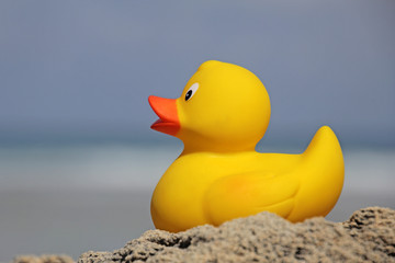 Badeente am Sandstrand 