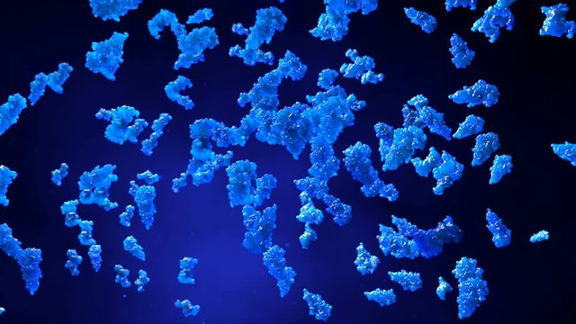 Enzymes or proteins in motion