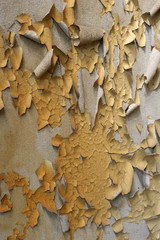 swollen, shattered, broken, peeling wall paint