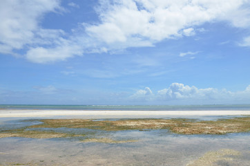 Fototapeta na wymiar Boracay, the Beautiful tropical island at Philippine.