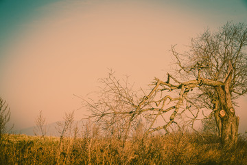 Country field landscape on autumn day