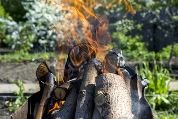 burning fire from firewood on a background of flowering trees