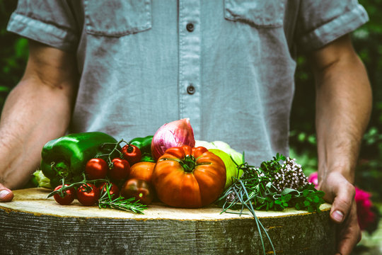 Farmer holding plate full with organic vegetables