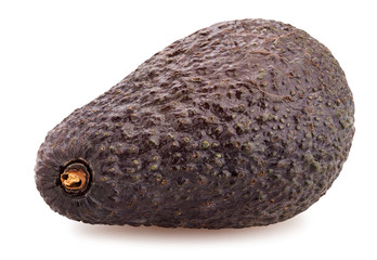 hass avocado