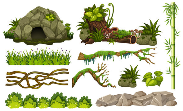 Set of jungle objects