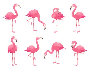 Muurstickers Exotische roze flamingo& 39 s vogels. Flamingo met rozenveren staat op één been. Rosy verenkleed flam vogel cartoon vectorillustratie © Tartila