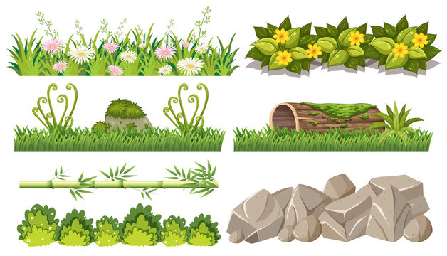 Set of forest objects