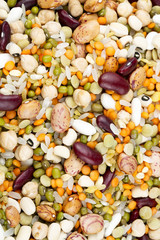 Legumes