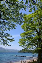 Fototapeta na wymiar 十和田八幡平国立公園。新緑の十和田湖。十和田　青森　日本。５月中旬。