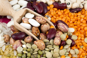 Legumes