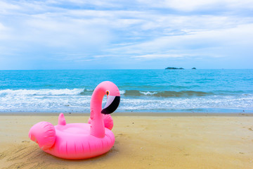 Flamingo raft on the beach in front of blue sea and white sky and foot print