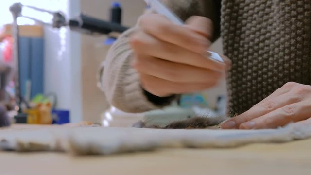 Professional male skinner, furrier working with mink fur skin at atelier, workshop. Fashion and leatherwork concept