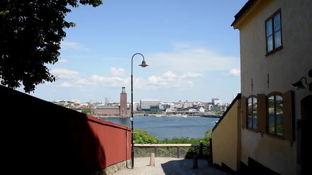 View point at Montelius street, and a cat passing